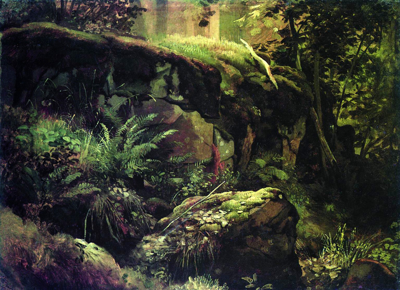 stones in the forest
